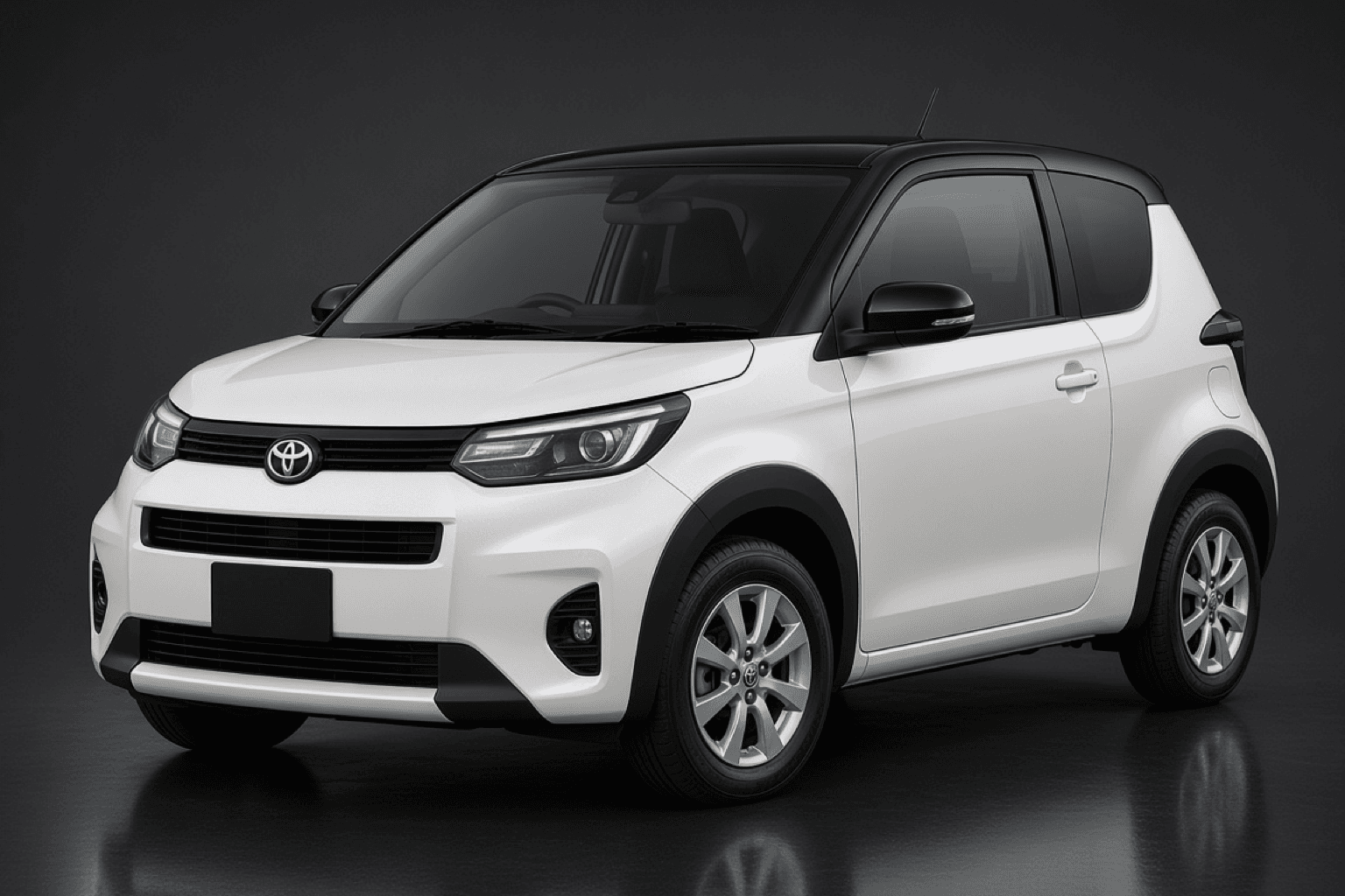 Toyota Spade(NCP141) - 車型參考圖(非實車)